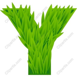 Grass Y