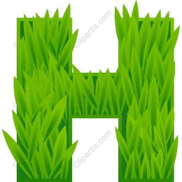 Grass H