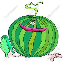 Whimsical Watermelon Character