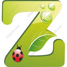 Eco-Friendly Green Z