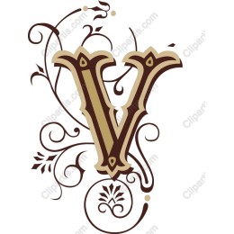 Elegant Floral 'V'
