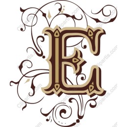 Elegant Decorative Letter E with Flourishes
