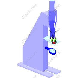 Whimsical Microscope with Insect