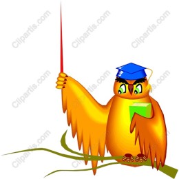 Golden Graduation Owl