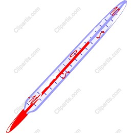 Precision Thermometer