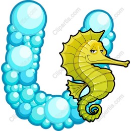 Charming Seahorse & Bubbles