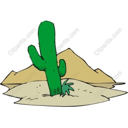 Desert Cactus