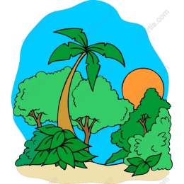 Tropical Paradise