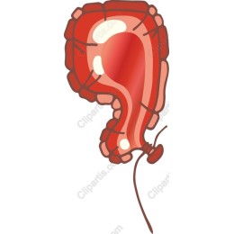 Vibrant Red Balloon