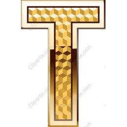 Gold Geometric T