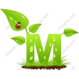 Green Leaf M