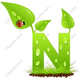 Leafy N Eco