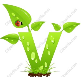 Leafy V