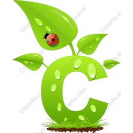 Green Leafy C