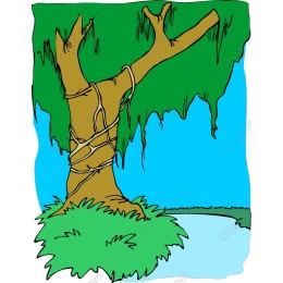 Tranquil Tree