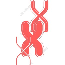 Abstract Crimson X Shapes