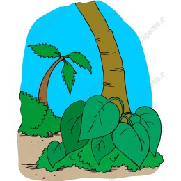 Tropical Paradise - Palm Tree and Lush Green Leaves