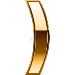 Gold Metallic Decorative Element