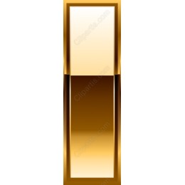 Elegant Gold Frame