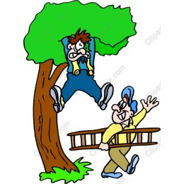 Comical Tree Climber & Ladder