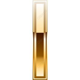 Elegant Vertical Gold