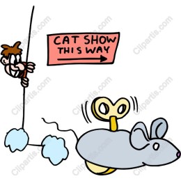 Mischievous Cat Show
