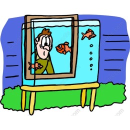 Curious Aquatic Adventure