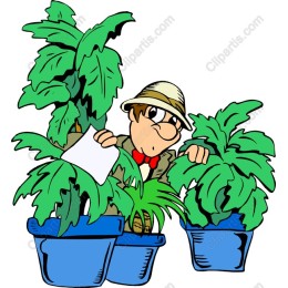 Cheerful Gardener