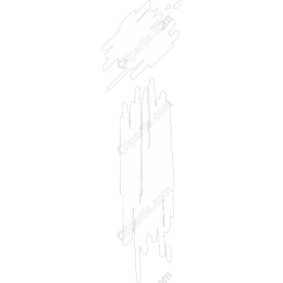 Elegant Minimalist