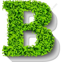 Green Leaf B