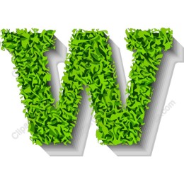 Greenery W