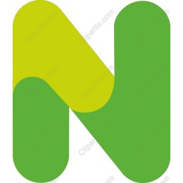Vibrant N Logo