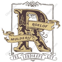 Ornate Vintage Letter R