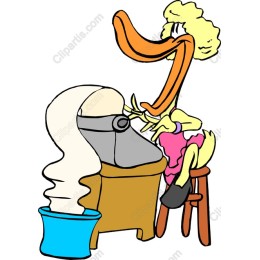 Whimsical Duck Laundry
