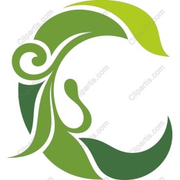 Eco-Friendly Green Leaves