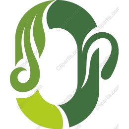Elegant Green Abstract