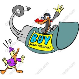 Whimsical Duck Rocket