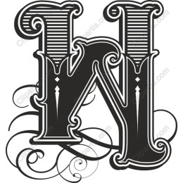 Elegant Vintage Letter N
