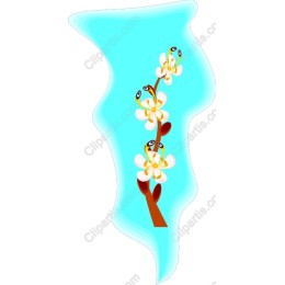 Charming Spring Blossom