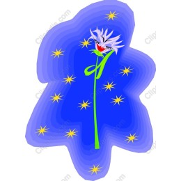 Starlit Floral