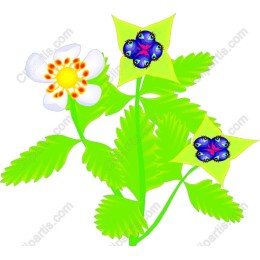 Lively Floral Fusion