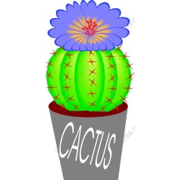 Vibrant Cactus Flower