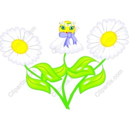 Spring Blossom