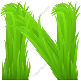 Green Grass Letter N