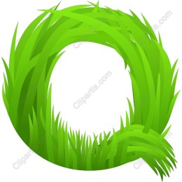 Lush Green Grass