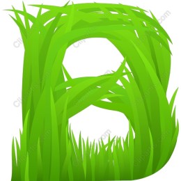 Grass B