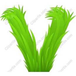 V-shaped Grass