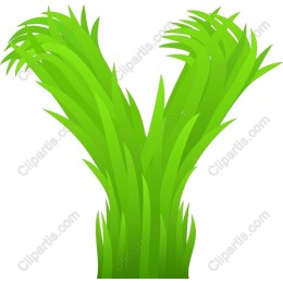 Green Grass Letter Y