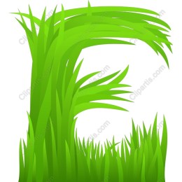 Vibrant Grass E