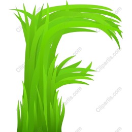 F Grass